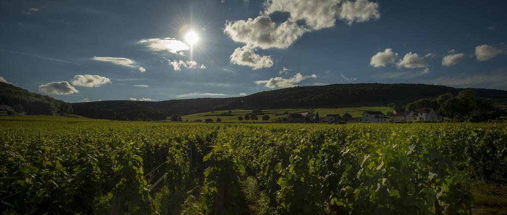 Chateau Du Petit Musigny A Chambolle エクステリア 写真