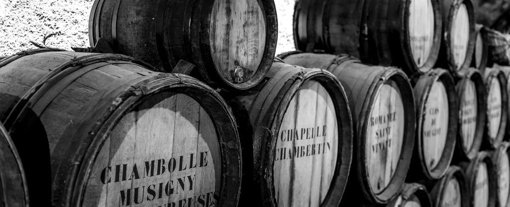 Chateau Du Petit Musigny A Chambolle エクステリア 写真