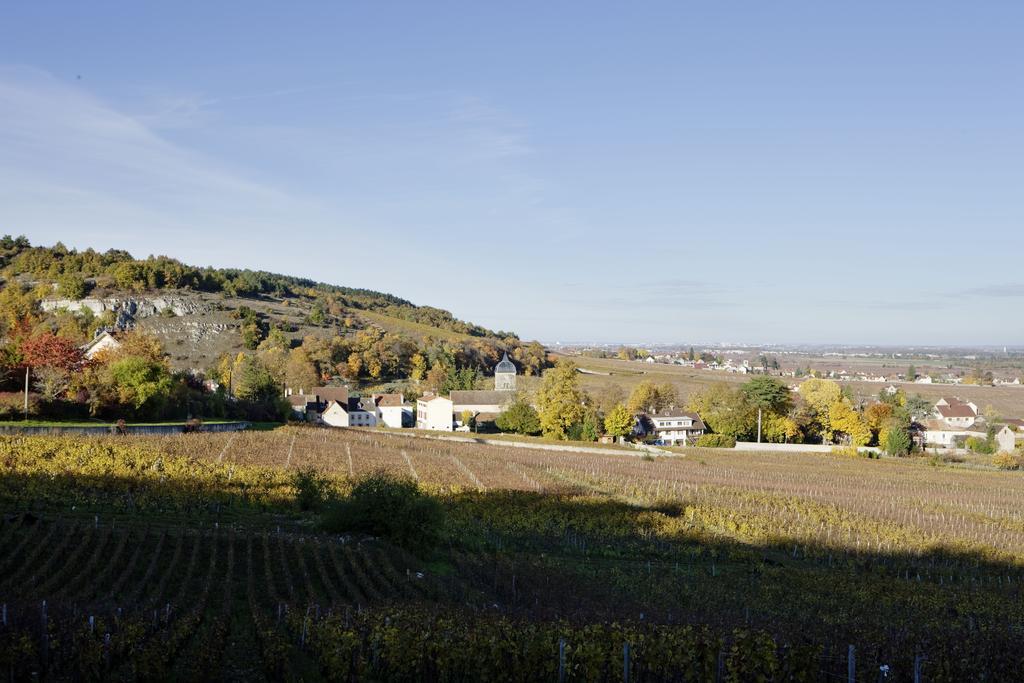 Chateau Du Petit Musigny A Chambolle エクステリア 写真